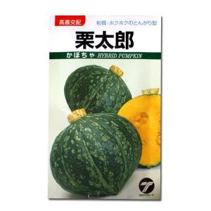大特価！】野菜の種/種子 おおもの83・とうもろこし・スイートコーン