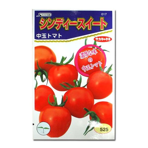 野菜の種/種子 シンディースイート・トマト 21粒（メール便発送）サカタのタネ 種苗