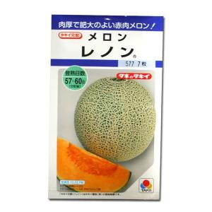 野菜の種/種子 レノン・メロン 6粒（）タキイ種苗