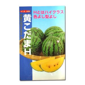 たね ナント種苗 スイカ 種子 愛娘ひなた（黄色い皮の愛娘）小袋