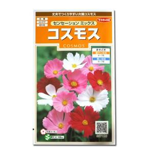 花種子 お徳用パック！ コスモス畑 センセーション混合 タキイ種苗の