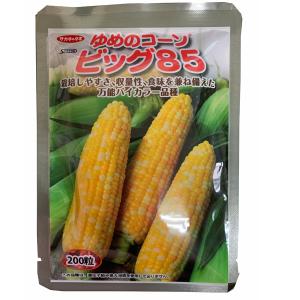野菜の種/種子 ゴールドラッシュ・とうもろこし トウモロコシ