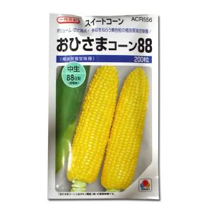 送料無料！数量限定！】野菜の種/種子 ドルチェドリーム