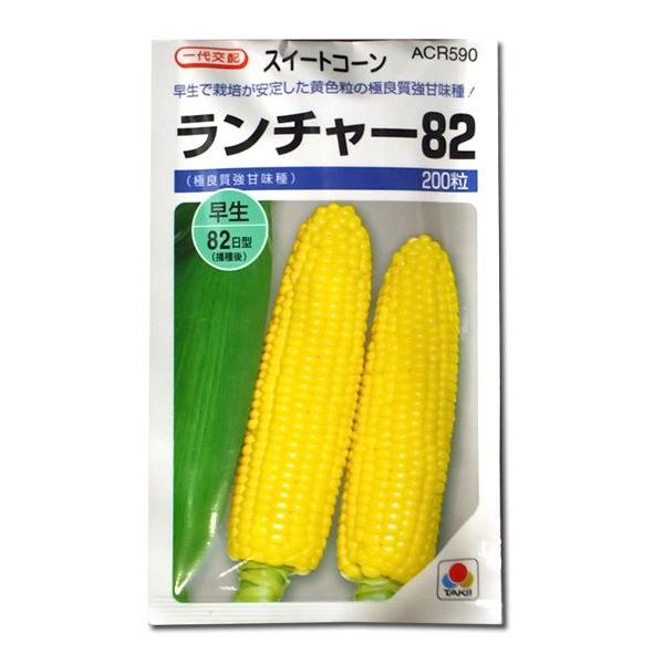 野菜の種/種子 ランチャー82・とうもろこし 200粒（メール便発送）タキイ種苗