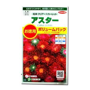 花の種 アスター[松本 クリアースカーレット]ボ...の商品画像