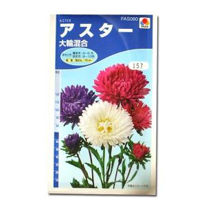 花の種　アスター［大輪混合］　1.2ml（メール便発送）