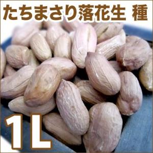 野菜・種/苗　タチマサリ落花生/たちまさり立性落花生・落花生・ピーナッツ　生もの種　量り売り1L 【3月下旬頃発送】｜vg-harada