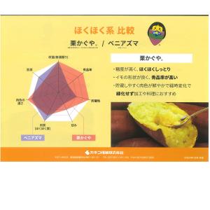 野菜の苗 ベニアズマ/紅東・ベニ東 紅あずま ...の詳細画像3