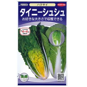 ほうれんそうページ 野菜の種/種子 パスワード7 ほうれんそう 50ml（メール便発送