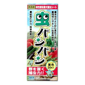 インカ、6キロ、種芋 ジャガイモ　春植え　家庭菜園などに 令和8年入荷予定なし】野菜・種/苗［春植えジャガイモ種芋］インカの