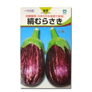 野菜の種/種子　縞むらさき・ナス　9粒　（メール便発送）｜vg-harada