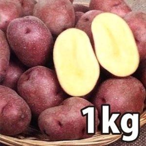 野菜・種/苗［春植えジャガイモ種芋］北海道産 インカルージュ