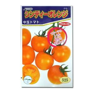 野菜の種/種子 シンディーオレンジ・中玉トマト 13粒（メール便発送）サカタのタネ 種苗