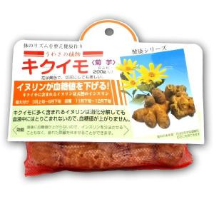 野菜・種/苗 キクイモ・菊芋 きくいも 種芋・生...の商品画像