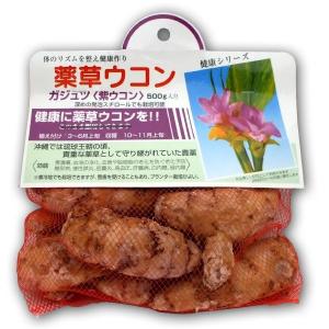 野菜・種/苗 ガジュツ[紫ウコン]薬草ウコン 種...の商品画像