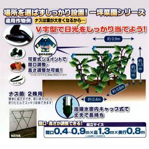 ナス V字栽培キット グリーン 間口0.4〜0.9×高さ1.3×奥行0.8m　園芸用品 セキスイ