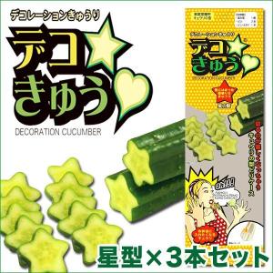 デコきゅう(家庭菜園用キュウリの型)星型×3本セ...の商品画像