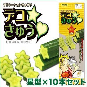 デコきゅう（家庭菜園用キュウリの型）星型×20本セット ガーデニング