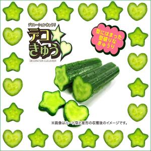 デコきゅう(家庭菜園用キュウリの型)ハート型と...の詳細画像1