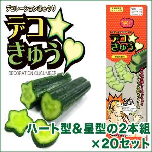 デコきゅう（家庭菜園用キュウリの型）ハート型と星型の2本組×20セット　ガーデニング・雑貨