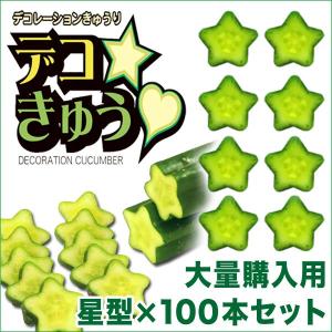 デコきゅう（家庭菜園用キュウリの型）ハート型と星型の2本組×10セット