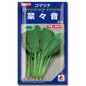 野菜の種/種子 ターボ・タマネギ 2dl袋入（大袋）タキイ種苗 （メール
