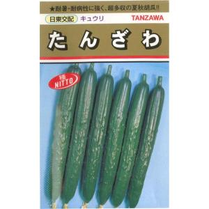 野菜の種/種子 ニーナZ S-27Z 350粒 キュウリ きゅうり （メール便