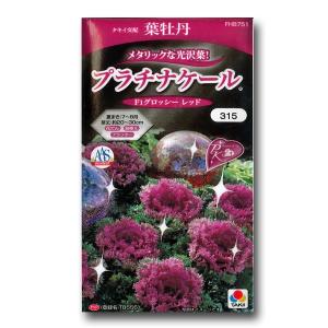 葉牡丹 プラチナケールの商品一覧 通販 Yahoo ショッピング
