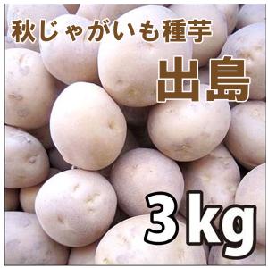 野菜・種/苗　［秋じゃがいも種芋］秋植えじゃがいも種芋　出島・でじま　デジマ　生もの種　量り売り3kg