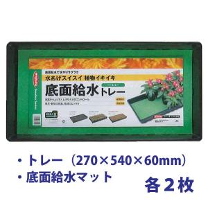 底面給水トレー・ベーストレー（270mm×540mm×60mm）　園芸用品｜vg-harada