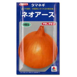 野菜の苗 中晩生 ネオアース・タマネギ 玉葱苗...の詳細画像1