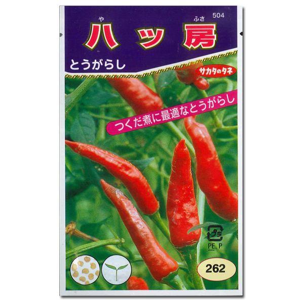 野菜の種/種子 八ツ房・とうがらし 2ml（メール便発送）サカタのタネ 種苗