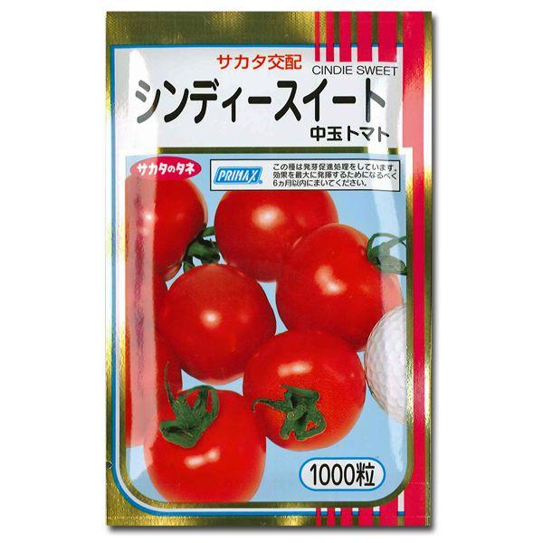 野菜の種/種子 シンディスイート・中玉トマト 1000粒（メール便発送/大袋）サカタのタネ 種苗