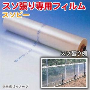 NSスソ用 谷用 シート 厚さ0.25mm 幅100cm 長さ100m ビニールハウス裾 
