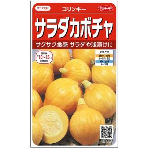 野菜の種/種子 コリンキー・サラダかぼちゃ 6.5ml（メール便発送）サカタのタネ 種苗｜vg-harada