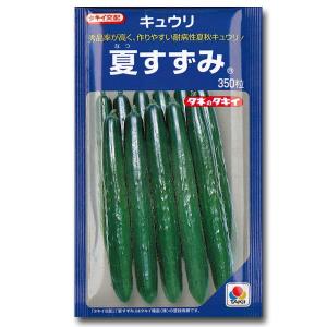 野菜の種/種子 ゴールドラッシュ・とうもろこし 2000粒 (大袋)サカタの