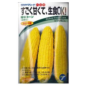 野菜の種/種子　味なコーン　すごく甘くて、生食OK！・とうもろこし　200粒　（）タカヤマシード