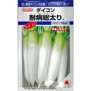 大特価！】野菜の種/種子 おおもの83・とうもろこし・スイートコーン