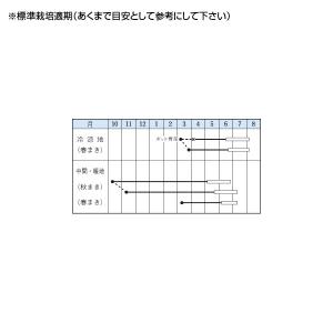 野菜の種/種子 スナップエンドウ グルメ えん...の詳細画像1