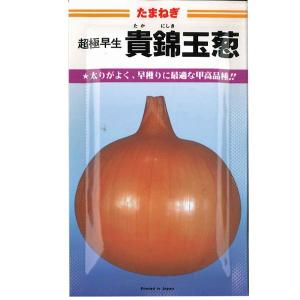 トップゴールド305 タマネギ 種子 タカヤマシード 2dl 1缶 野菜の種/種子 早春収穫！超極早生玉葱！トップゴールド305