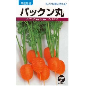 野菜の種/種子　パックン丸・ニンジン　　にんじん　20ml　（）