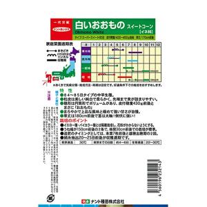 野菜の種/種子 ホワイトレディー 白いおおもの...の詳細画像1