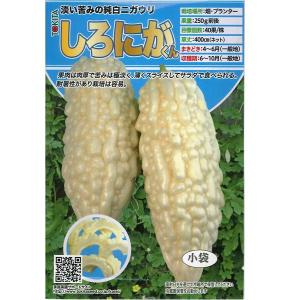 野菜の種/種子 ゴールドラッシュ・とうもろこし 2000粒 (大袋)サカタの