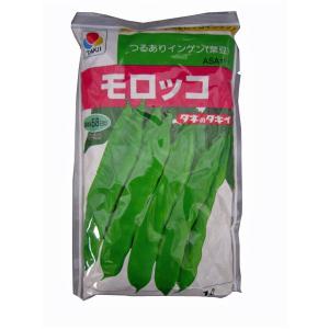野菜の種/種子 ビックリジャンボ・いんげん 30ml （メール便発送