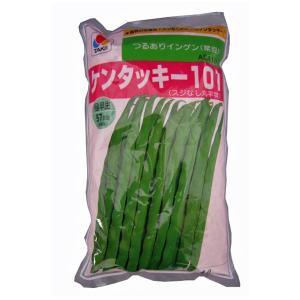 野菜の種/種子 ケンタッキー101・つるありいんげん 1L（大袋）タキイ種苗｜vg-harada
