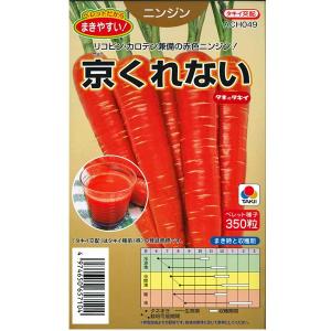 野菜の種/種子 京くれない・ニンジン 200粒（メール便発送）タキイ種苗