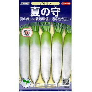 野菜の種/種子 夏の守（なつのかみ）・大根 5.5ml（メール便発送）サカタのタネ 種苗 【７月中旬頃発送となります】