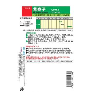 野菜の種/種子 紫奏子(むらさきそうし)・ハク...の詳細画像1