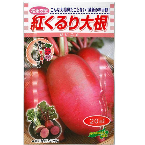 野菜の種/種子　紅くるり大根・だいこん　20ml　（メール便発送/大袋）松永種苗