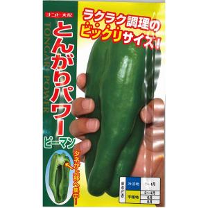 大人気！当店おすすめ！野菜の種/種子　とんがりパワー　ピーマン　　20粒　（メール便発送）